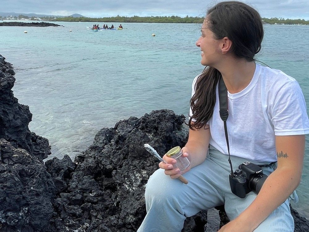  karly mcmullen, masters of science student at ubc’s institute for the oceans and fisheries, in the galápagos islands studying microplastics in marine animals.