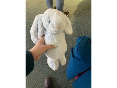 The story of Bunbun, the stuffed rabbit stranded at the Vancouver airport, has a happy ending
