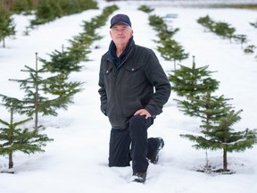 Larry Whitehead at his family Christmas tree farm, Red Truck Trees, in Surrey.