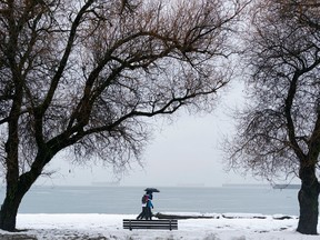 The blanket of snow that enveloped Metro Vancouver earlier in the week slowly melts during a heavy rainfall warning on Dec. 24, 2022. Richard Lam photo/PNG