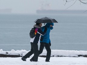 The heavy snowfall that enveloped Metro Vancouver earlier in the week slowly melts during a heavy rainfall warning on Dec. 24, 2022. Richard Lam photo/PNG