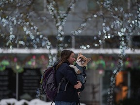 A woman carries a dog in her arms as freezing rain falls in downtown Vancouver, on Friday, December 23, 2022.