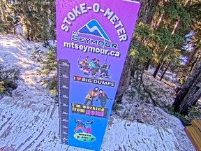 A screen grab from the livecam of Mount Seymour’s 'Stoke-O-Meter' on the morning of Jan. 14.