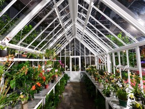 Unique plants, including rare houseplants, and garden products are available for purchase.