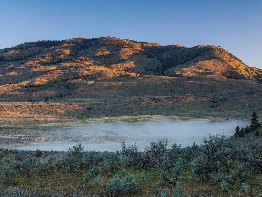 South Okanagan grasslands a beneficiary of beauty-backed nature conservancy initiative