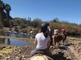 The 90-minute group horseback ride includes a number of crossings through the Salt River.