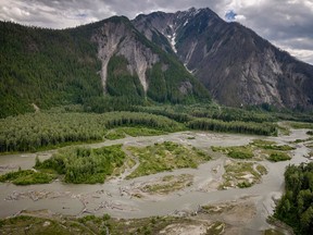 The Incomappleux River Valley is a vast and largely intact area of rare inland temperate rainforest, a unique ecosystem found only in one of a few regions on Earth. These forests contain some ancient trees ranging from 800 to 1,500 years old.