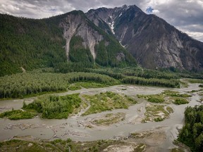 The Incomappleux River Valley is a vast and largely untouched area of ​​rare inland temperate rainforest, a unique ecosystem found in only one of the few regions on Earth.  These forests contain some ancient trees ranging from 800 to 1,500 years old.