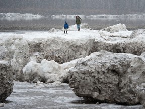 Acres and acres of giant ice boulders, built up thanks to the confluence of extreme drought and extreme cold, appeared after the post-Christmas rains last week and lined the Fraser River's banks from the narrowing in the channel at the Rosedale Bridge and stretched toward Hope.