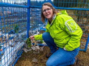 Darcy Henderson is concerned about a dump on farmland near Cultus Lake.  It has been shut down by the environment ministry, but residents say it is still leaking materials.