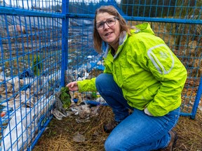 Columbia Valley resident Darcy Henderson shows some of the waste dumped on farmland near Cultus Lake.