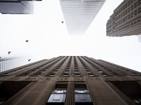 Birds fly past the Bank of Nova Scotia's headquarters in Toronto.