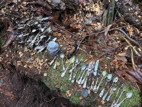 The find after it was discovered.