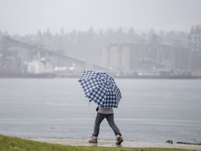 A pedestrian uses an umbrella to shield themselves from the heavy rain as they walk along the shore of the harbour in Vancouver Tuesday, January 11, 2022.