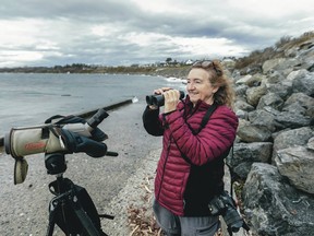 Bird expert Ann Nightingale, at Clover Point, says a lot of birds migrate through Greater ­Victoria and they need protection.