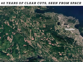 Satellite imagery shows brown patches of scarring from clear cuts visible on the hills near Nanaimo in 2020.