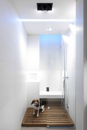 Shower designed to accommodate dogs and people by Falken Reynolds.