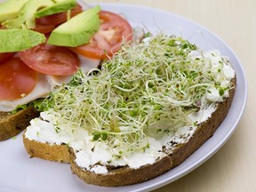 Alfalfa sprouts