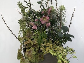 Plants in planter: Camellia japonica, Euphorbia Glacier, Euonymus Silver Queen, Heuchera Alabama, Heather Golden Starlet, Variegated ivy, Helleborus Pink Frost, and Narcissus Tete a Tete.