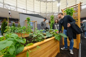 Supplied by the BC Home + Garden Show