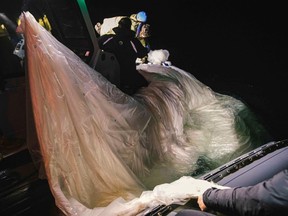 U.S. navy explosives experts recover parts of a Chinese surveillance balloon after it was shot down off the coast of Myrtle Beach, South Carolina.