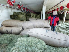 Lorraine Buchanan with bags of wool at Parry Bay Sheep Farm. The collapsing market for Canadian wool is being blamed on several factors, including a shift to producing polyester and plastic-fibre textiles. DARREN STONE, TIMES COLONIST