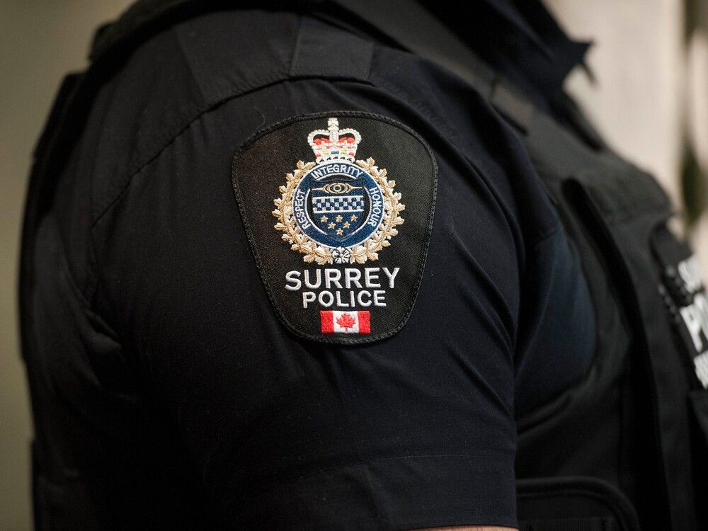 B.C. Suspends Surrey Police Board, Brenda Locke Out As Chair ...