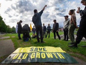 Members of Save Old Growth offer non-violent education training for anyone wishing to take part in what the group says will be daily blockades of Metro Vancouver roadways.