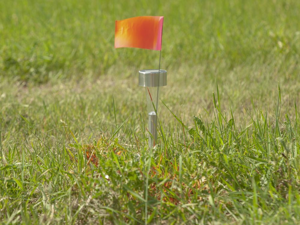 Flags mark where ground-penetrating radar recorded hits of what are believed to be 751 unmarked graves in this cemetery near the grounds of the former Marieval Indian Residential School on the Cowessess First Nation, Sask. on Saturday, June 26, 2021. A British Columbia First Nation is releasing the results of a preliminary search for unmarked graves on the grounds of a former residential school.