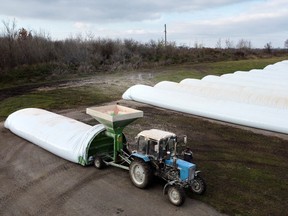 FILE PHOTO: A general view of grain sleeves, temporary grain storage solution, loaded with the grain in the village of Kozyn in Kyiv region, Ukraine November 9, 2022.