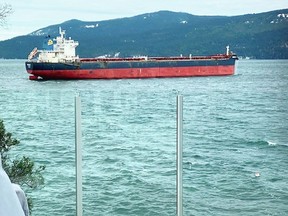 The Michalis bulk carrier off Arbutus Ridge Thursday morning, as seen through a glass deck railing.