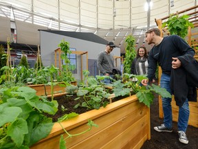 The B.C. Home and Garden Show.