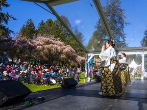 A highlight of the Vancouver Cherry Blossom Festival is the Sakura Days Japan Fair at VanDusen Botanical Garden, held this year on April 15 and 16.