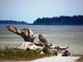 File photo of Rathtrevor Beach Provincial Park in Parksville, one of many getting accessibility upgrades in the B.C. Parks system.
