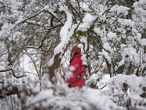 Two women pose under a snow-covered tree as a man takes photographs of them after an overnight and morning snowstorm, in Vancouver on Feb. 28, 2023. The first day of spring is exactly one week away, but extreme winter conditions still persist on B.C.'s southern and southeastern mountain passes as snowfall warnings are posted for most routes.