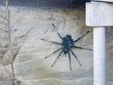 The eight-foot-diameter spider was installed recently on the north bank below the bridge between North Grandview Highway and Broadway.