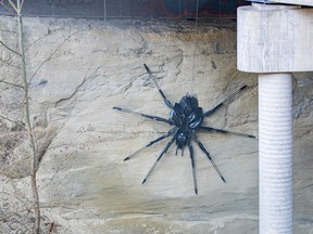 The eight foot diameter chandelier was recently installed on the north bank under the bridge between North Grandview Highway and Broadway.