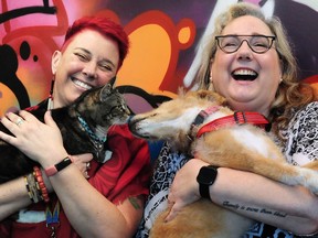 Vancouver Coastal Health officials Emily Giguere, left, and Anne Merrett-Hiley hold emotional-support pets used by youth outreach teams.
