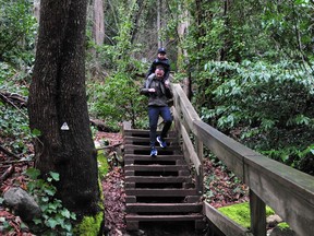 The popular Quarry Rock hiking trail in Deep Cove was very busy on Sunday.