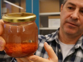 Researcher Brendan Foley holds up a jar containing saffron preserved in water, part of a cache of unusually well preserved spices and foodstuffs found on the wreck of the Gribshunden, in his laboratory in Lund University, Denmark, March 2, 2023. REUTERS/Tom Little