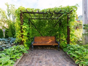 Metal trellises and pergolas adorned with greenery can make for enchanted outdoor spaces.