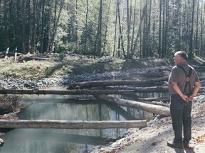 A restoration project in the Upper Pitt River Valley aims to bring back a healthy salmon run. Photo: Julia Kidder / Ola J. Cholewa / WWF-Canada
