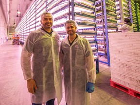 Shahram Rashti and Bahram Rashti are co-founders of UP Vertical Farms.