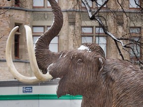 A statue of a wooly mammoth is pictured outside the Museum of Nature in Ottawa, April 7, 2009.