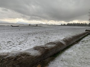 Accumulated ice and snow sits on Spanish Banks Beach in Vancouver on April 2, 2023. Credit: David Carrigg/PNG