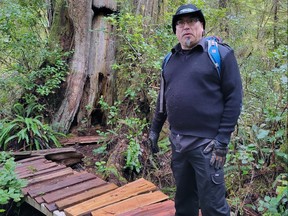 Saya Masso, lands director for the Tla-o-qui-aht Tribal Parks Guardian Program, stands on the Big Tree Trail on Meares Island. Credit: Alexandra Mehl, Local Journalism Initiative