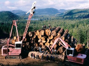 A file photo of a logging operation in B.C.