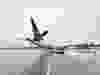 Air Canada’s Boeing 737 Max 8 at Nanaimo Airport this week. Via Nanaimo Airport