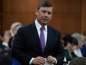 Conservative MP Michael Chong discovered only last week after a report said CSIS had information in 2021 that the Chinese government was looking at ways to intimidate him and his extended family in Hong Kong.