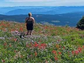 The wildflowers at Sun Peaks are amazing in summer. You can catch a chairlift to mid mountain and hike one of the 15 designated hiking trails.